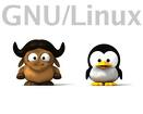 Gnu and Tux