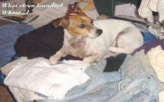 Tallong - Clean laundry.jpg
