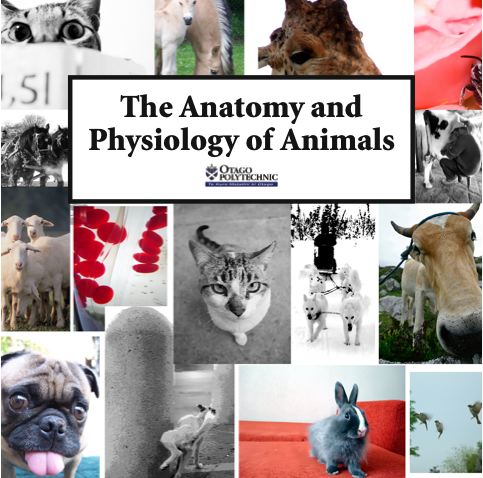 File:Cover pic.jpg