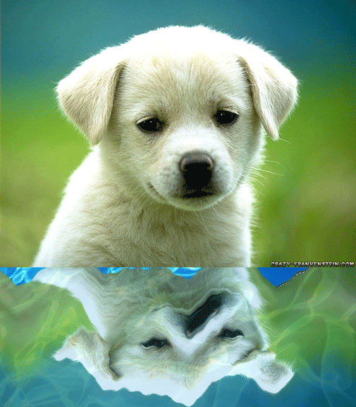 File:01.gif
