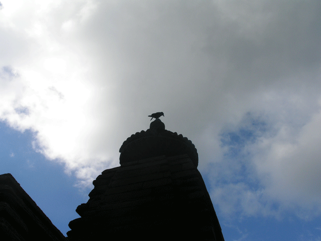 File:Crowontop.gif
