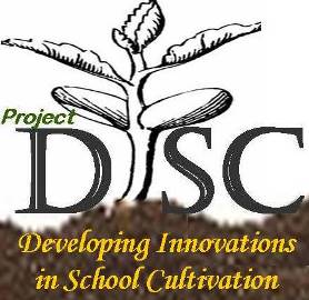 File:Final DISC Logo.jpg
