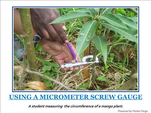 work in the field