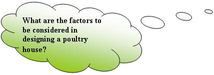 Activity-2.JPG