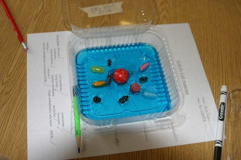 File:Cell6.png