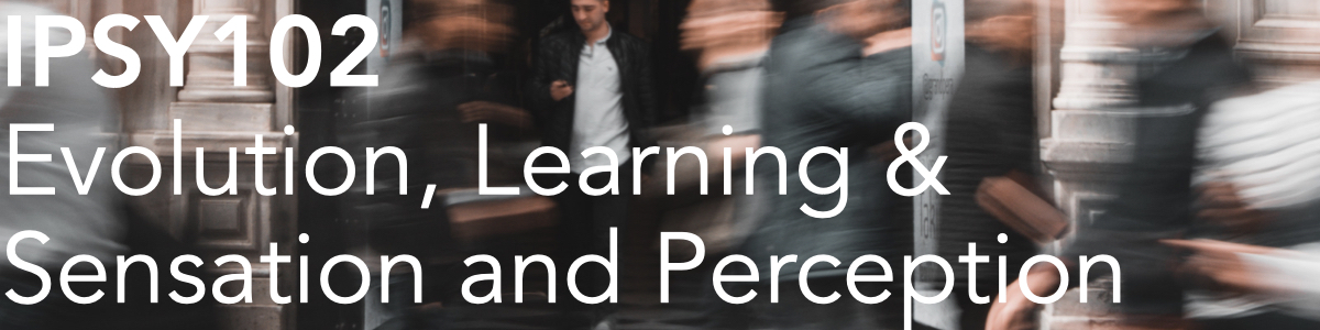 IPSYbanners Courses.102.jpeg