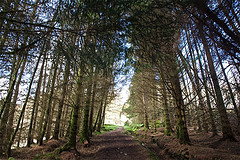 File:Mb.jpg