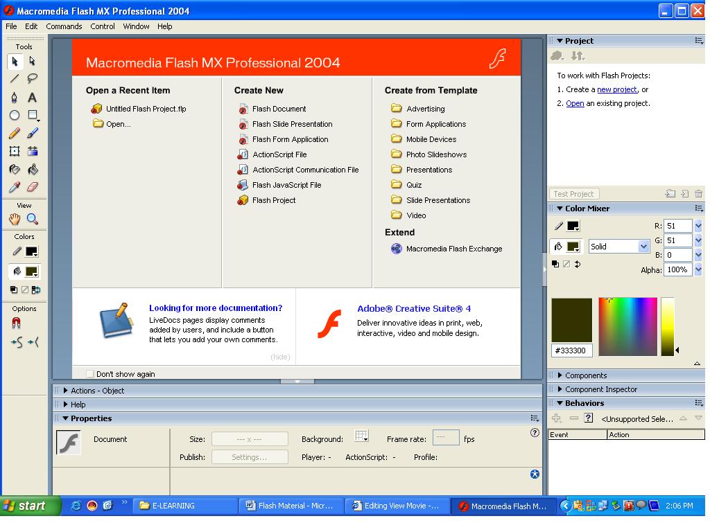 Flash screen.jpg