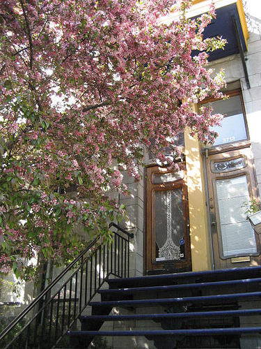 File:Spring.jpg
