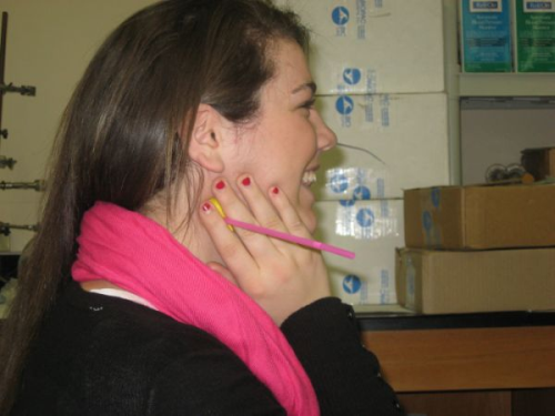 File:Molly&pulse stick.png