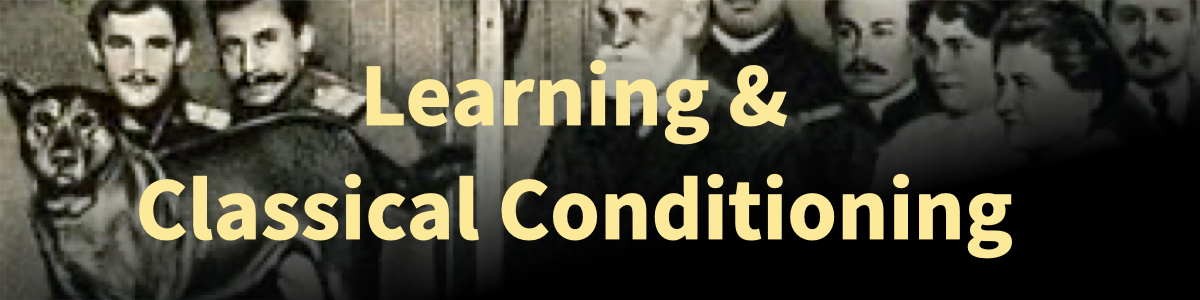 IPSYbanners.102.3.jpeg