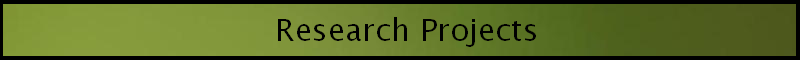 ResearchProjects.png