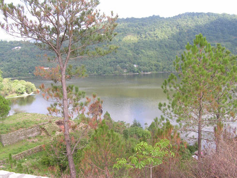 File:NKTaal.gif