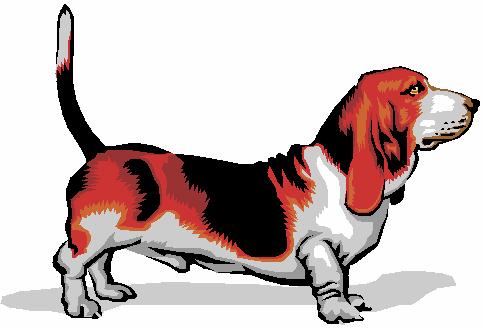 Dog for lynphatic vessels.JPG