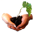 L4C-small 70px.png