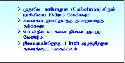 Tp25.JPG