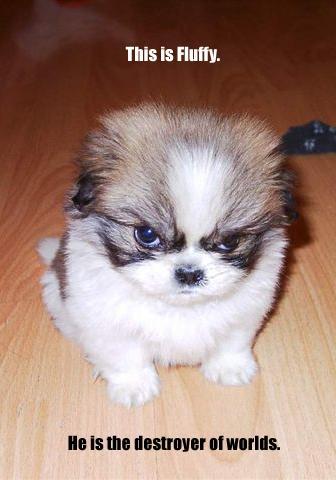 Fluffyevil.jpg