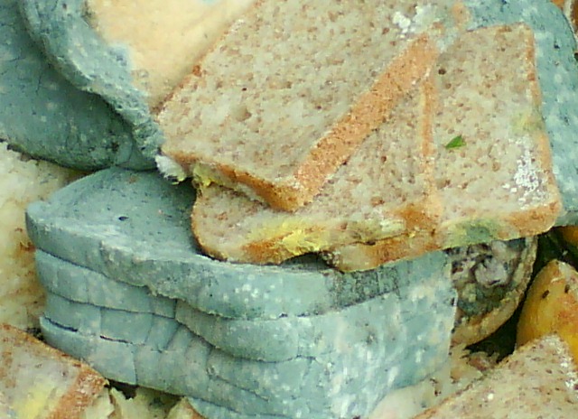 Mould1.JPG