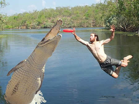 File:Croc.jpg