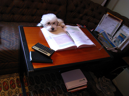 File:Had enough.jpg