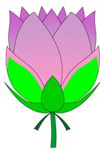 Lotus.jpg