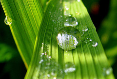 File:Water drop.jpg