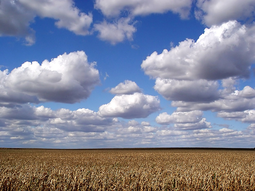 File:Clouds n corn.jpg