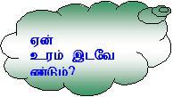 Tp37.JPG