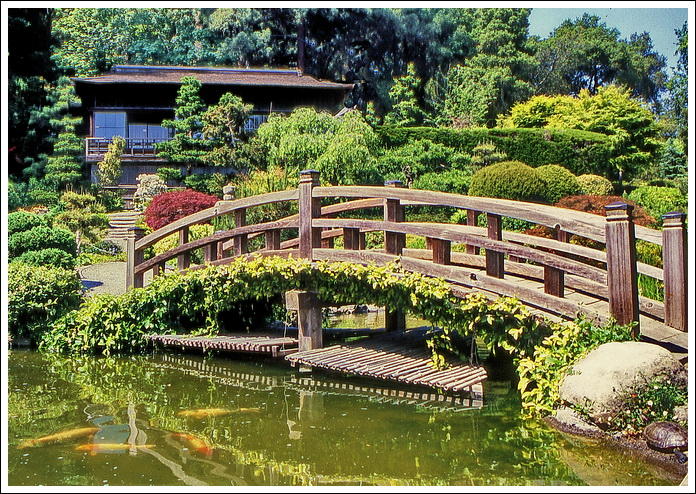 Fuji-HkonePark.jpg