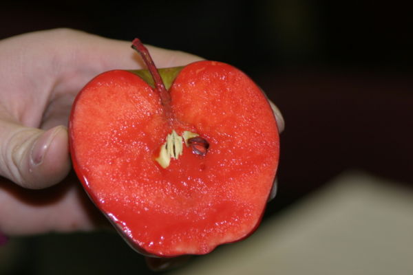 File:Apple Stamp.jpg