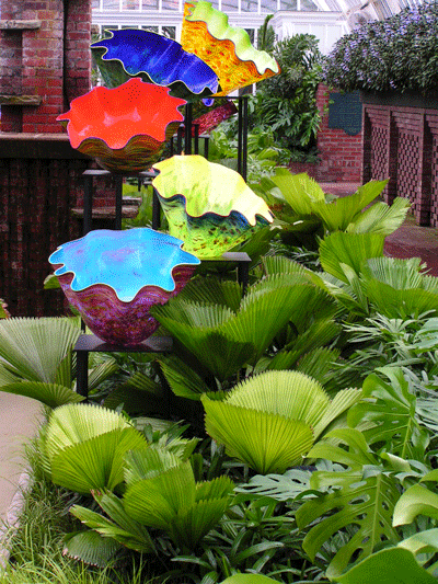 File:Pict0252.gif