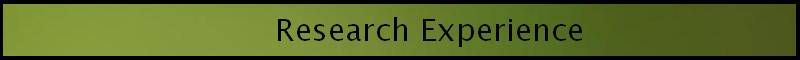 ResearchExperience.png