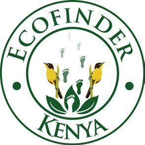 EK Logo Web.jpg