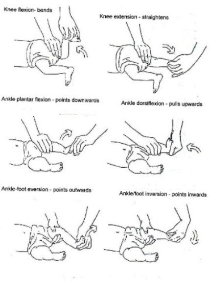 Passivemovements.jpg