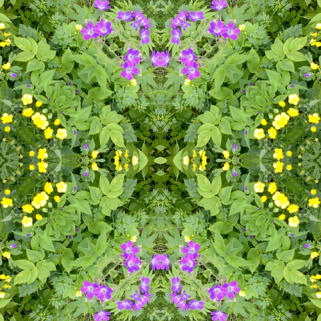 Pattern.jpg