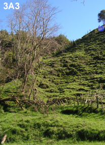 File:3a3.jpg