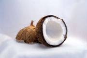 EDcoco.jpg