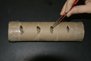 File:Log2.png