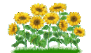 RTENOTITLE