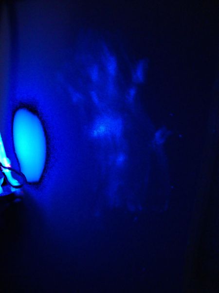 File:Glo germ2.jpg