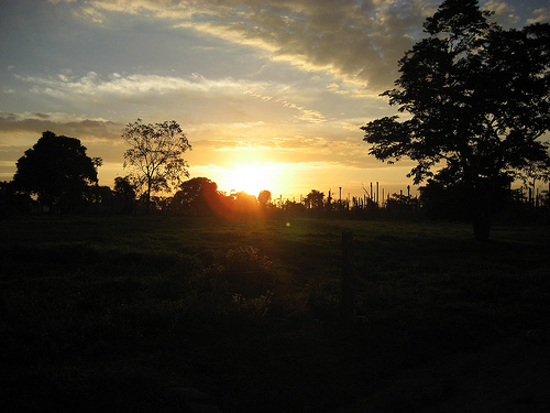 File:Llanos.jpg