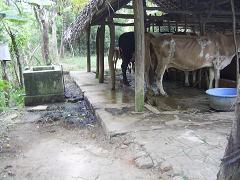 PIC 0013.JPG