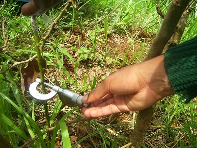Using a micrometer screw gauge