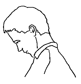 File:Head neck2.gif