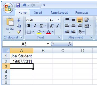 File:Excel-enter-name.png