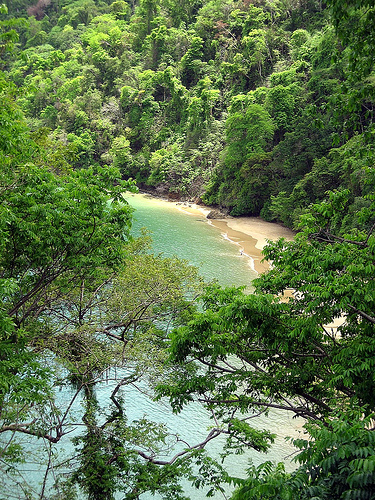 File:Tobago 2007.jpeg