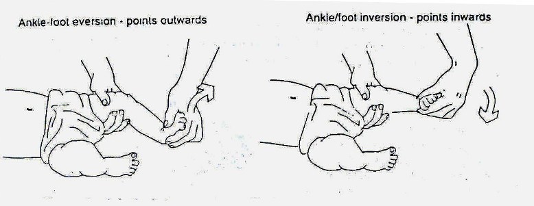Ancleextortion.jpg