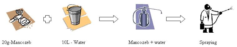 Diagram2.JPG