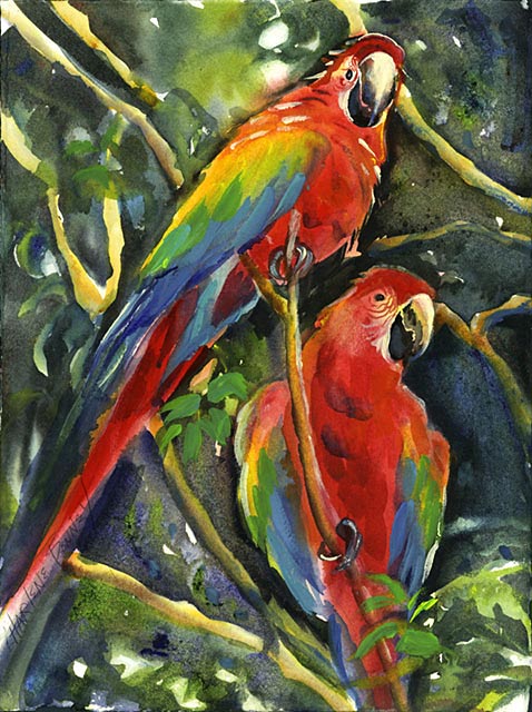 Parrots.jpg