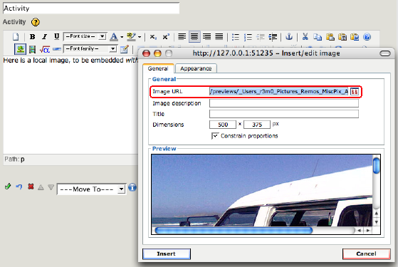 Exe-insert-image-step02b localFile URL.png